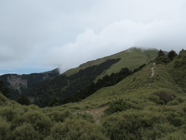 合歡山東峰-尖山-小奇萊-石門山2513129