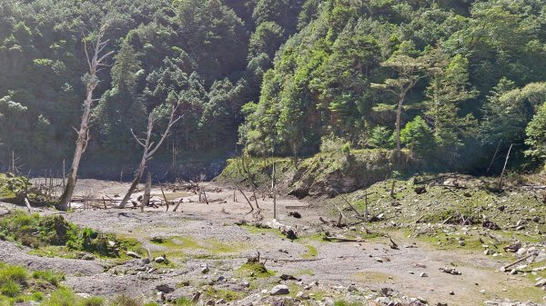 小關山林道27.5k登小關山1795008