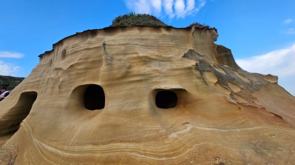 20250302玉田古道-瑪鋉三山出武聖街2725248