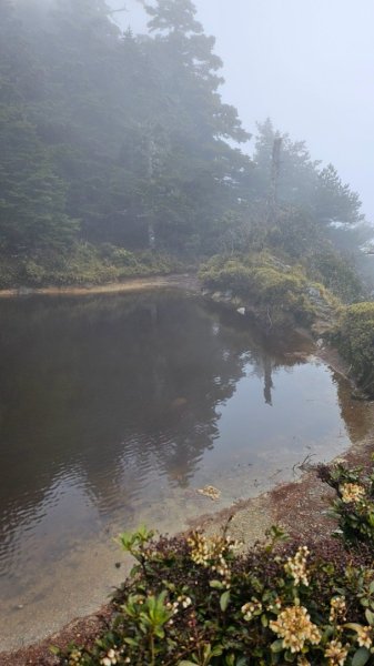 20250319～20嘉明湖國家步道🥶🥶🥶殘念😭2739732