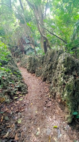 柴山之美~2934555