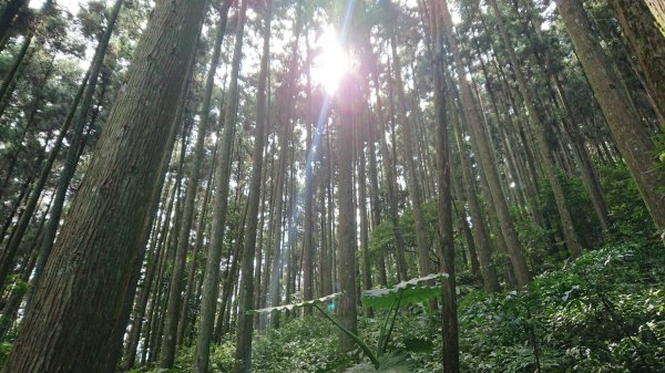 滿滿仙氣的向天湖山1107046