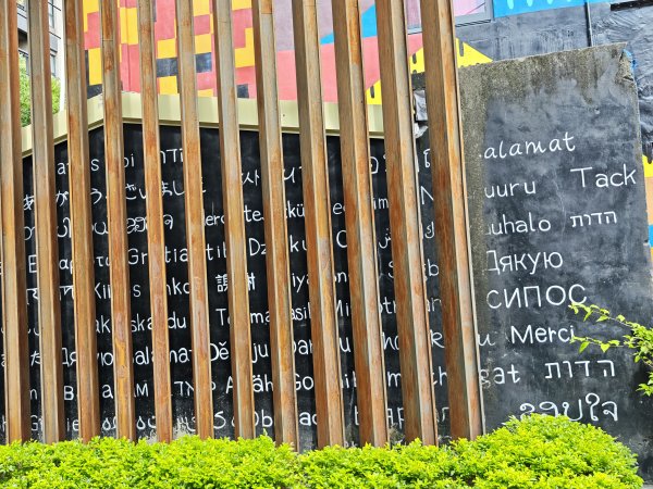 [霄裡好風光，運動樂悠遊！-5/10] 2025_0608 忠貞新村文化園區2808190