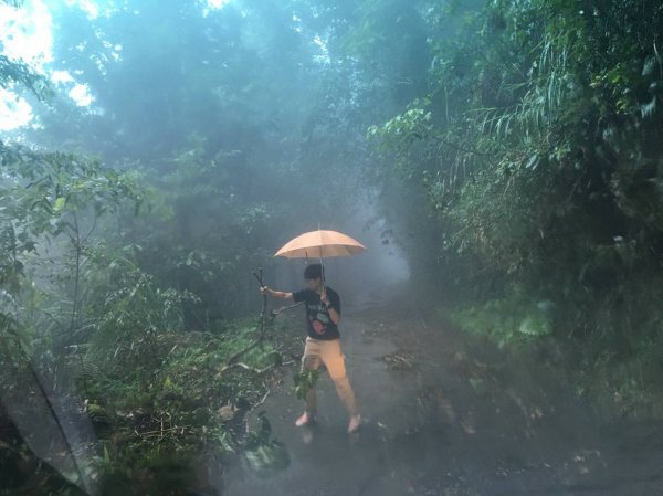 雨中煎牛排登西巒大山669743