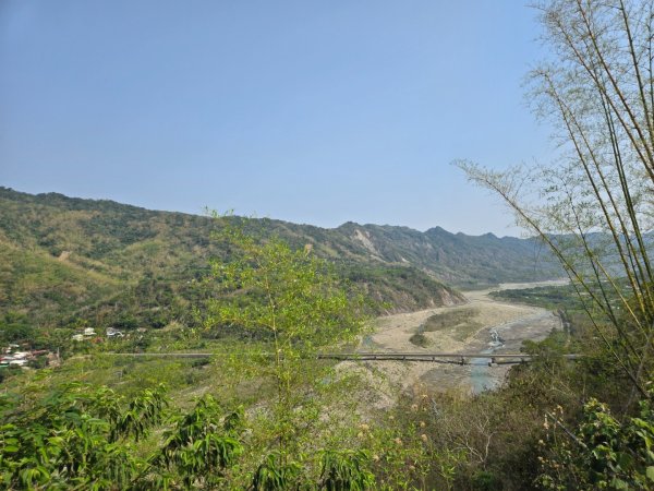 350高地、阿凰臘森林步道3033476