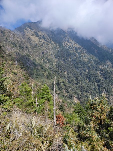 20260315-玉山前峰3018722