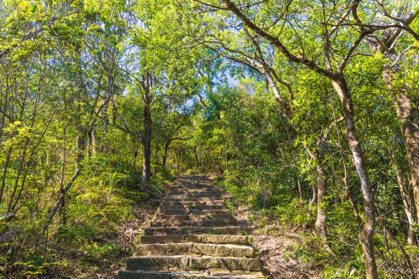 [台北]大崙頭山、碧山巖、忠勇山2746152
