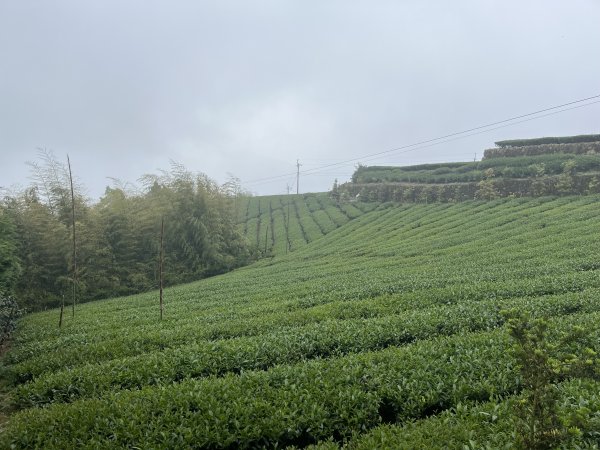 2023_0429_挑筍古道2138270