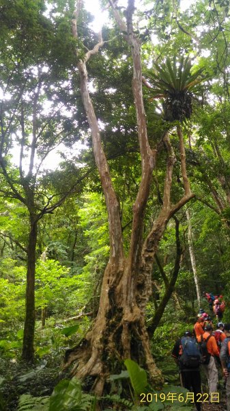 小百岳+古道~八五山古道登李崠山(#2618094