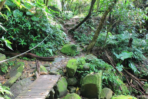 基隆暖東峽谷藍紅線O型走154630