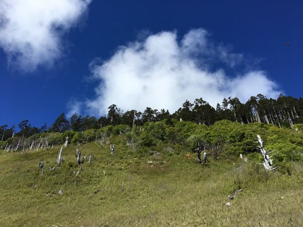 登山紀錄409544