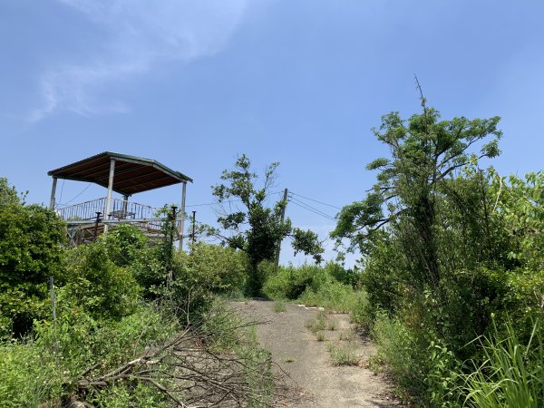 20250628高雄上平山2826356