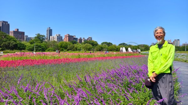 首訪 #古亭河濱公園 #花海 3/153015670