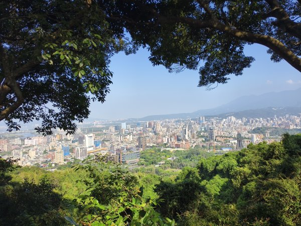 [百山百鳥尋旅-14/15] 2025_0929 劍潭山親山步道2900902