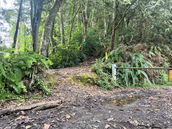 西巒大山巒安堂雙龍進出2212081