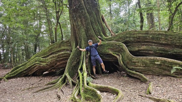 20251014雪見遊憩區 🚴‍♂️咖搭車走司馬限林道上東洗水山兩刷北坑山至大板根2916432