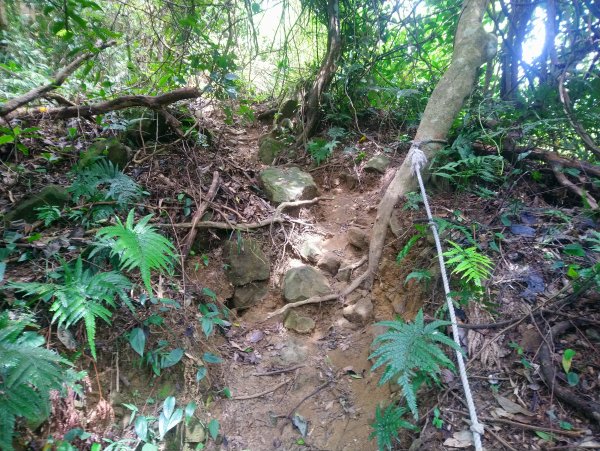 暗影山 小百岳 三等三角點4181690852