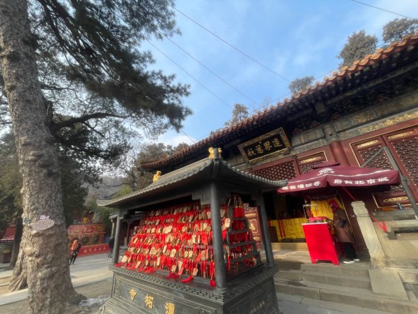 ㄧ路向北尋雪2994221