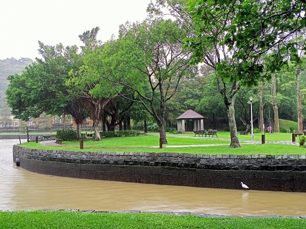 大湖公園 (防災公園)【走路趣尋寶，全臺齊步走】1895296