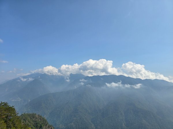 東卯山／東卯山西峰+賞山櫻花2715992