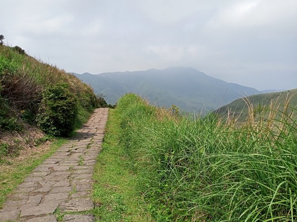 夢幻湖步道【走遍陽明山】2107464