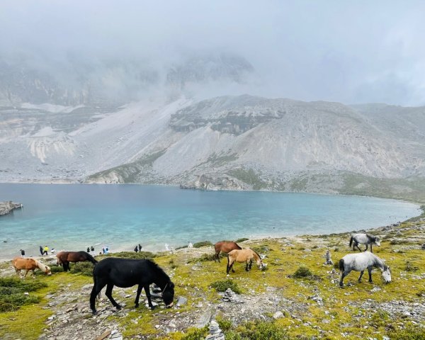 川藏33天深度之旅💙#稻城亞丁-來古冰川2901881