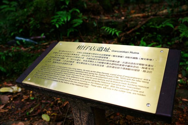 燦光寮古道與黃金三稜554304