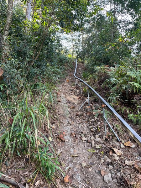跟銀狐犬一起去蝴蝶谷瀑布找遺失登山杖 2025.12.52956200