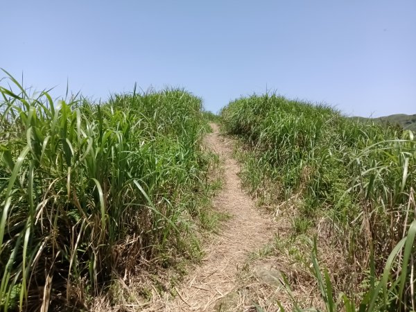 雙溪區不厭亭+牡丹山+樹梅坪+鷹石岩山神廟+不厭亭+奉憲示禁碑+三貂崙+不厭亭8字走2766302