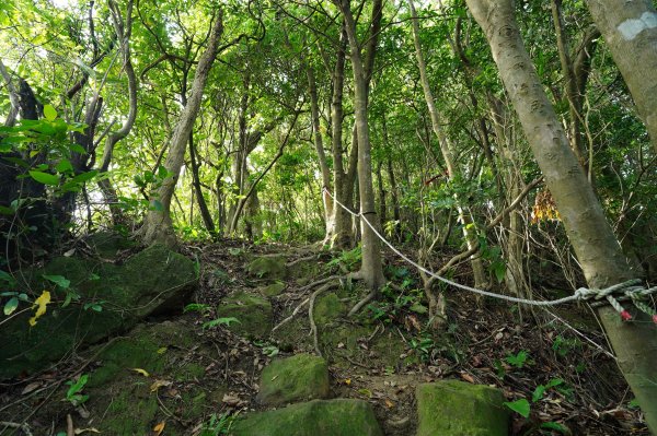 新北 瑞芳 粗坑口尖、碇內尖山、粗坑頭山、龍門山、滴水山2838281