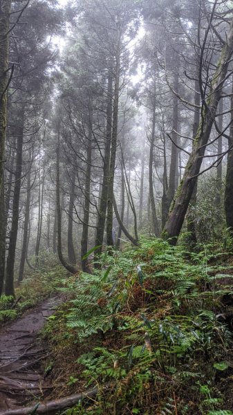 小觀音山西西峰 - 西峰 - 北峰935489