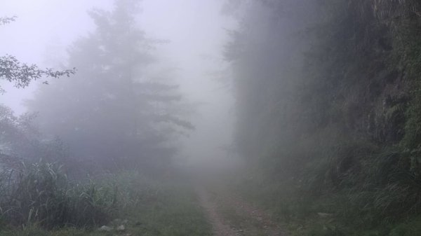 20251010 大雪山國家森林遊樂區 - 船型山林道 登 烏石坑山2911112