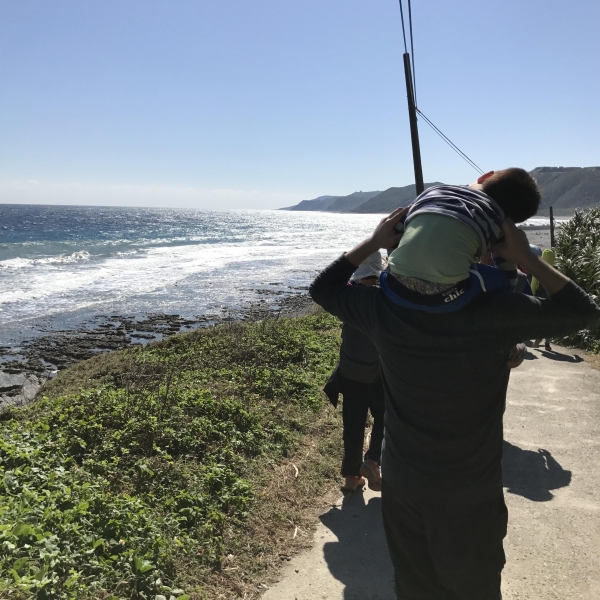 Reta臺灣百道001 阿朗壹97491