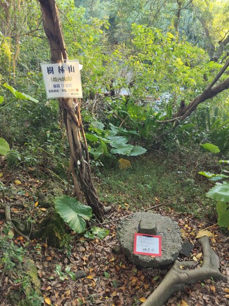 微笑山線：【大棟山系】405高地段2942541