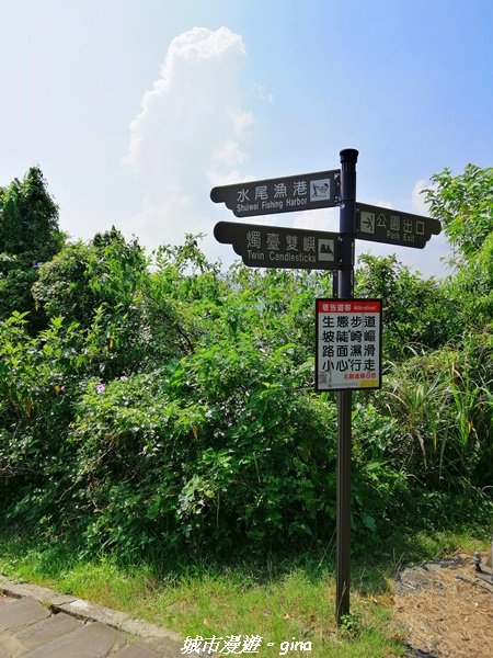 【新北。金山】獅頭山公園步道~遠眺金山八景之燭臺雙嶼1458203