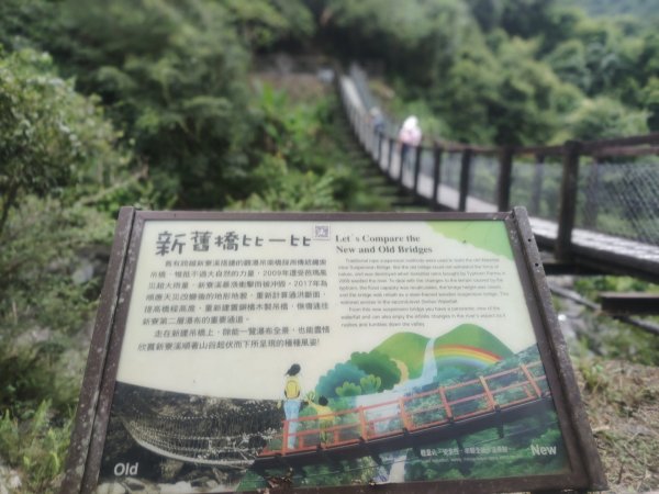 1150728新寮瀑布步道3096880