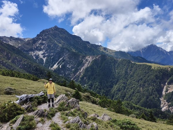 北一段(14/14)高山植物 2025_0906~13