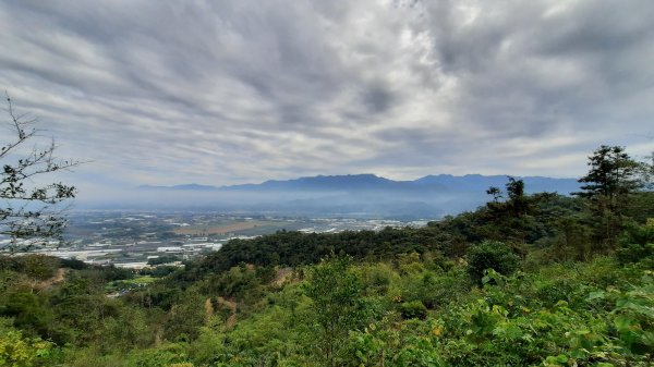 《台中》稜線巨龍｜大坑5號與5-1號步道上頭嵙山202111281529635