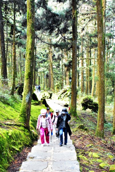 20221018公車旅人阿里山手扎:1141908