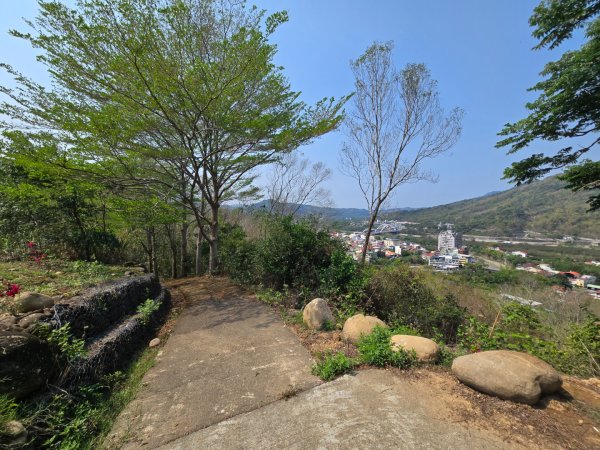 350高地、阿凰臘森林步道3033486