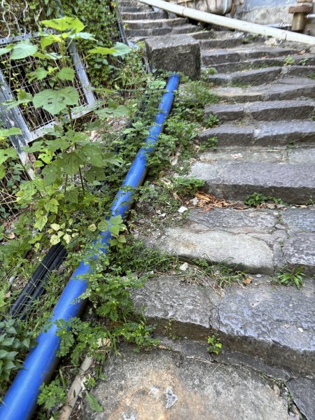 天母古道 + 紗帽山2913878