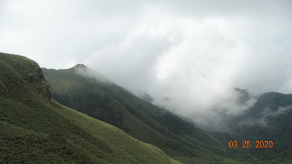 蒼天不負苦心人，再度陽明山雲海891384