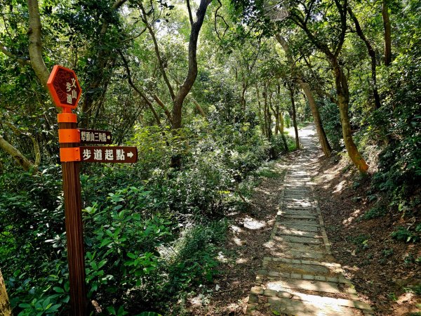 犁頭山、文山步道-2025森遊竹縣皮皮獅探險隊2890083