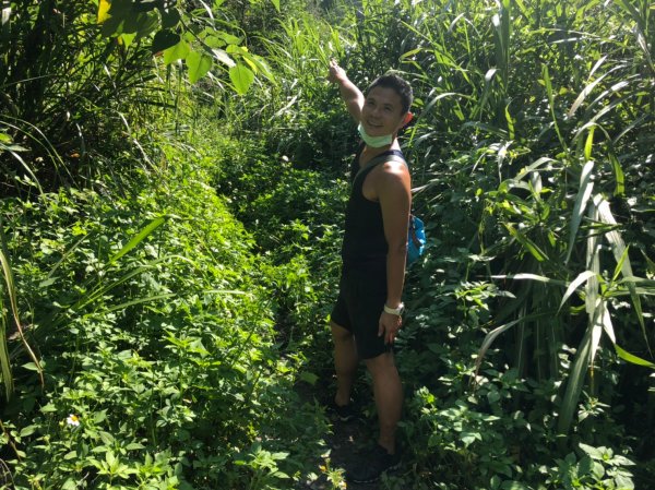 彩蝶瀑布.眉冷山步道1489995