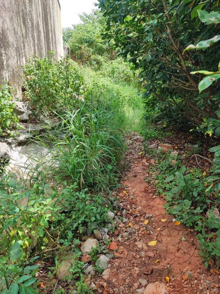 鐵砧山-小百岳#38-台中市大甲區2246314