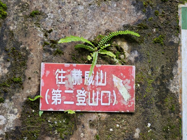 2025_0601 赫威山2802281