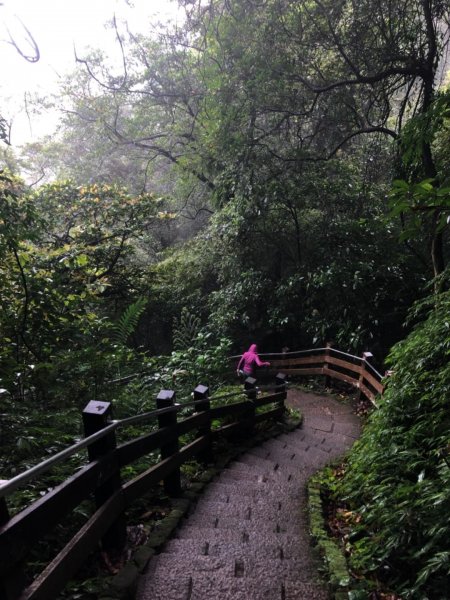 南港山縱走（中華科大登山口—象山）550431