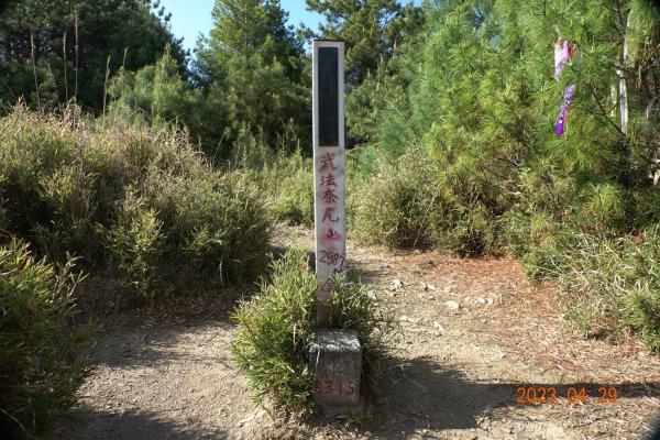 南投 仁愛 武法奈尾山2133795