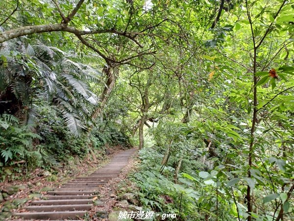 【花蓮】 楓林步道好視野x撒固兒步道、撒固兒瀑布超沁涼2247902