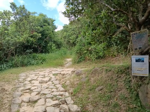 瑞芳區南子吝山+南子吝山稜(黃金七稜)+保羅尖8字走2873670